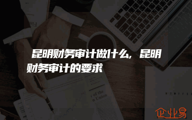 昆明财务审计做什么,昆明财务审计的要求