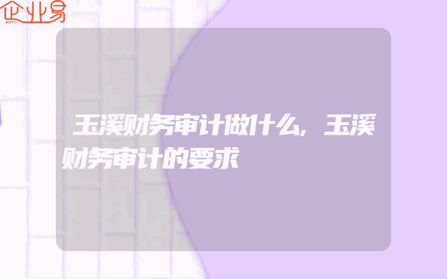 玉溪财务审计做什么,玉溪财务审计的要求