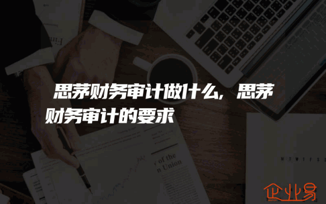 思茅财务审计做什么,思茅财务审计的要求
