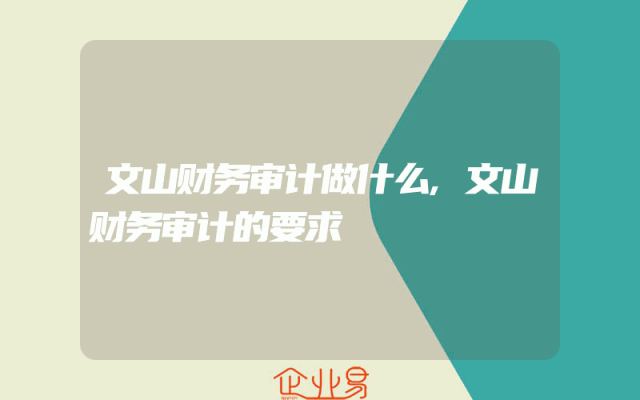 文山财务审计做什么,文山财务审计的要求