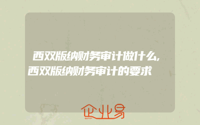 西双版纳财务审计做什么,西双版纳财务审计的要求