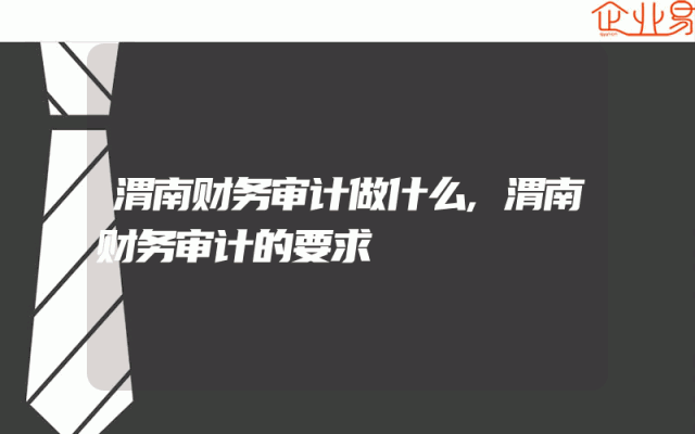 渭南财务审计做什么,渭南财务审计的要求
