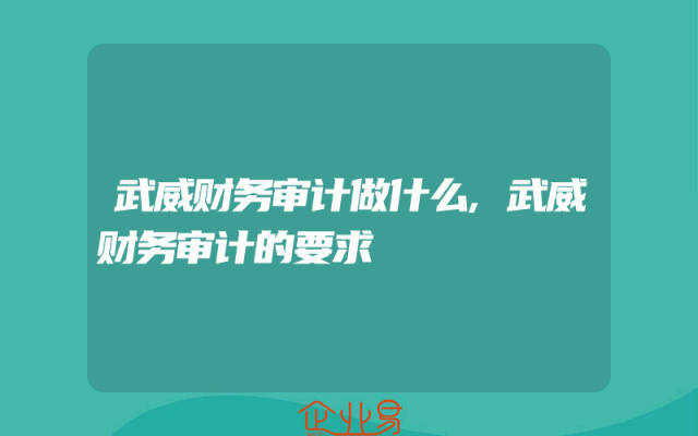 武威财务审计做什么,武威财务审计的要求