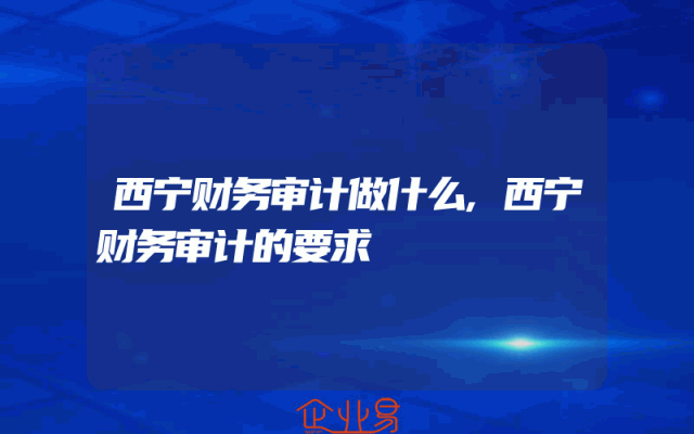 西宁财务审计做什么,西宁财务审计的要求
