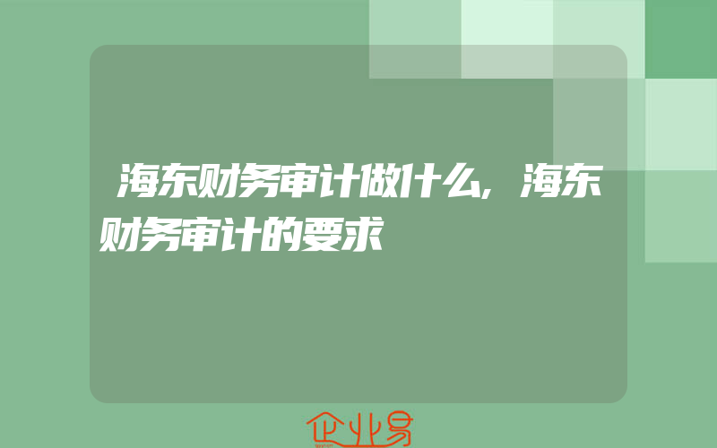 海东财务审计做什么,海东财务审计的要求