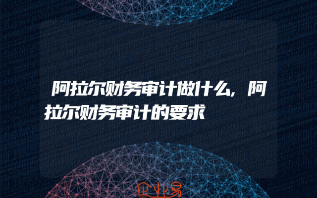 阿拉尔财务审计做什么,阿拉尔财务审计的要求