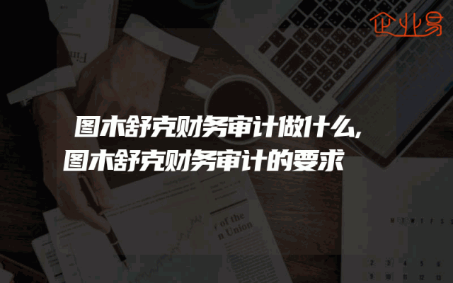 图木舒克财务审计做什么,图木舒克财务审计的要求