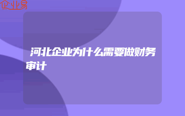 河北企业为什么需要做财务审计