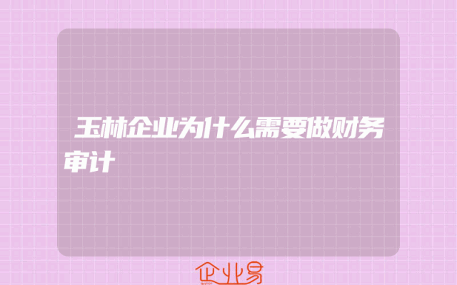 玉林企业为什么需要做财务审计