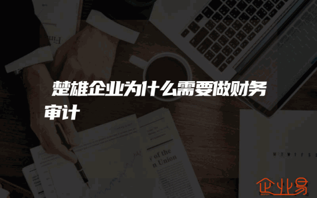 楚雄企业为什么需要做财务审计