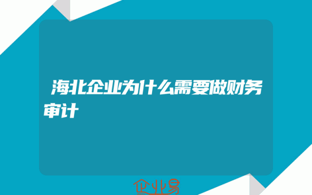 海北企业为什么需要做财务审计