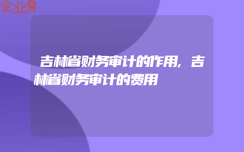 吉林省财务审计的作用,吉林省财务审计的费用