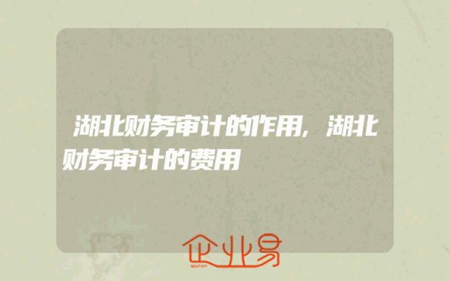 湖北财务审计的作用,湖北财务审计的费用