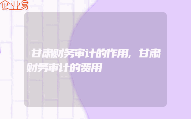 甘肃财务审计的作用,甘肃财务审计的费用