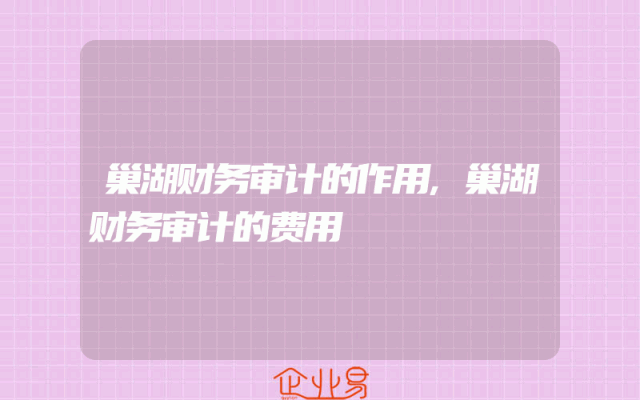 巢湖财务审计的作用,巢湖财务审计的费用