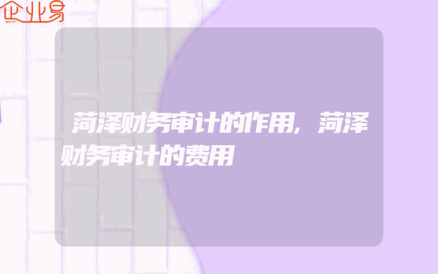 菏泽财务审计的作用,菏泽财务审计的费用