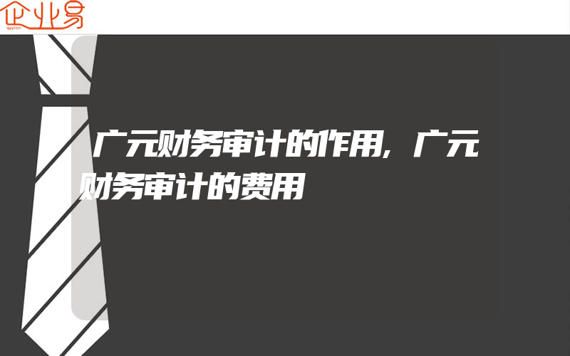 广元财务审计的作用,广元财务审计的费用