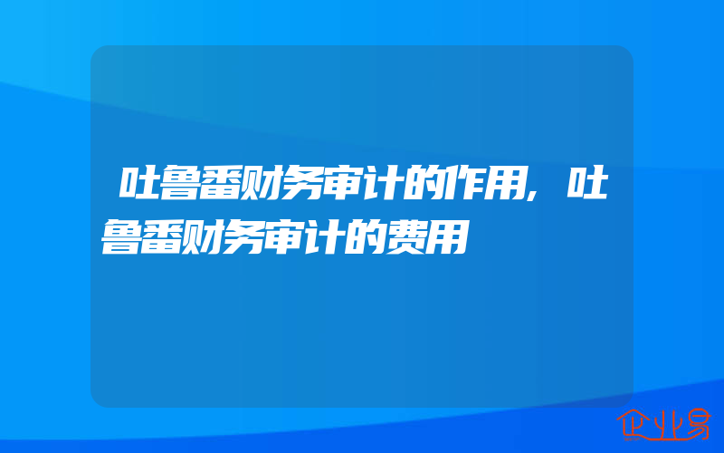 吐鲁番财务审计的作用,吐鲁番财务审计的费用