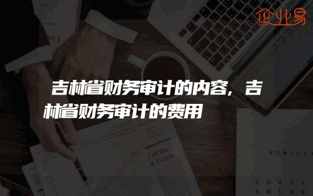 吉林省财务审计的内容,吉林省财务审计的费用