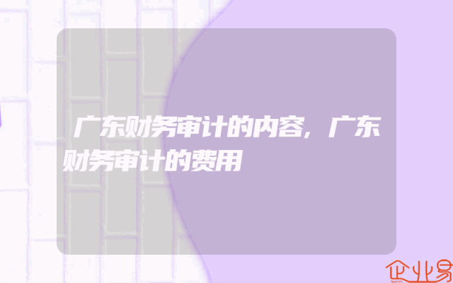 广东财务审计的内容,广东财务审计的费用