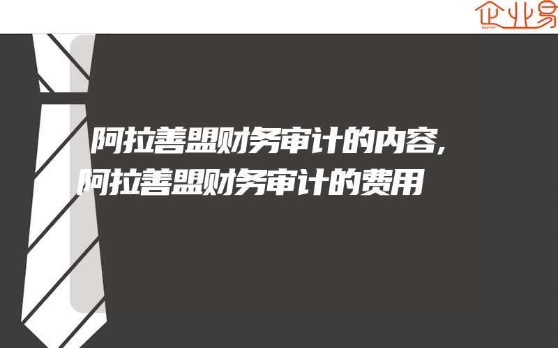 阿拉善盟财务审计的内容,阿拉善盟财务审计的费用