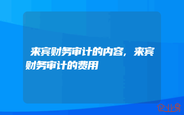 来宾财务审计的内容,来宾财务审计的费用