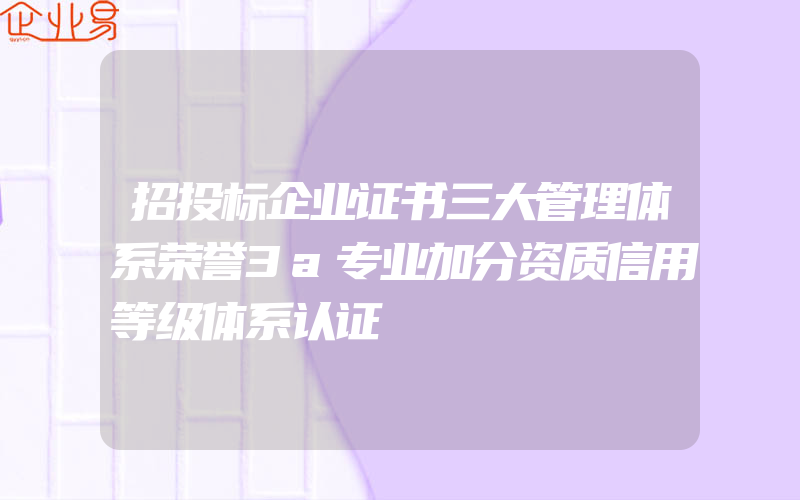 招投标企业证书三大管理体系荣誉3a专业加分资质信用等级体系认证