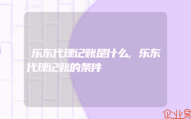 乐东代理记账是什么,乐东代理记账的条件