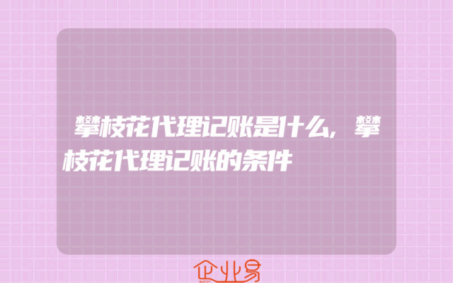 攀枝花代理记账是什么,攀枝花代理记账的条件