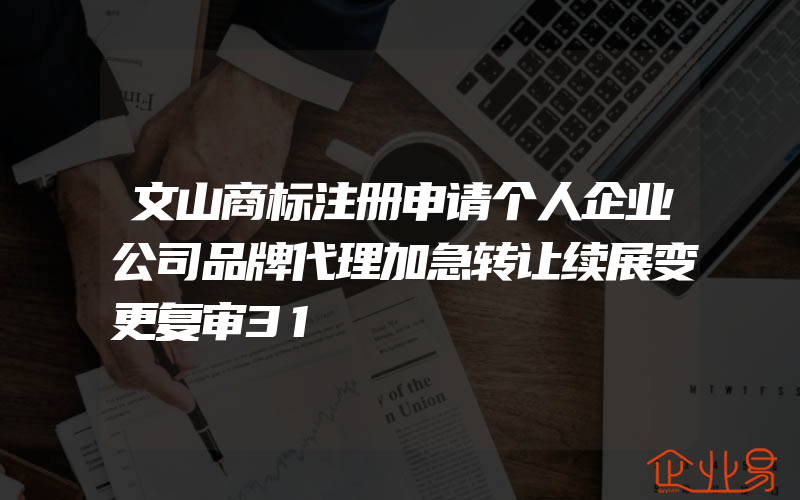 文山商标注册申请个人企业公司品牌代理加急转让续展变更复审31