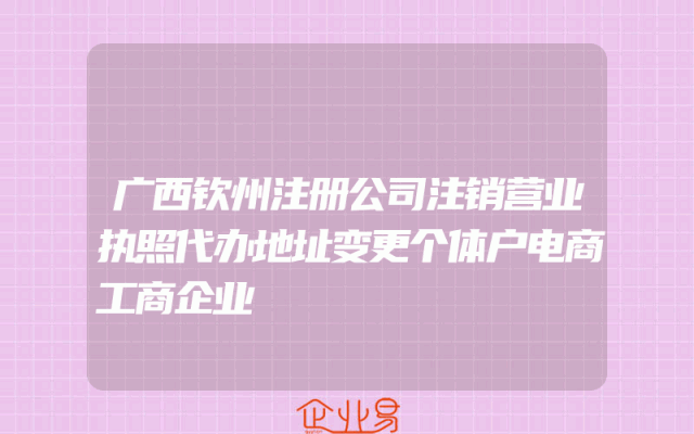 广西钦州注册公司注销营业执照代办地址变更个体户电商工商企业