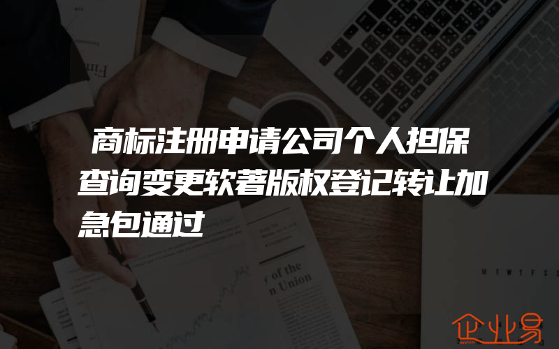 商标注册申请公司个人担保查询变更软著版权登记转让加急包通过