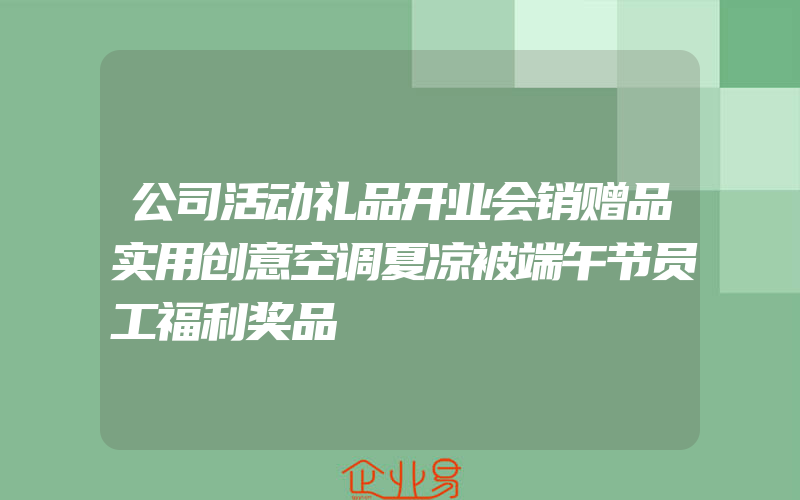 公司活动礼品开业会销赠品实用创意空调夏凉被端午节员工福利奖品