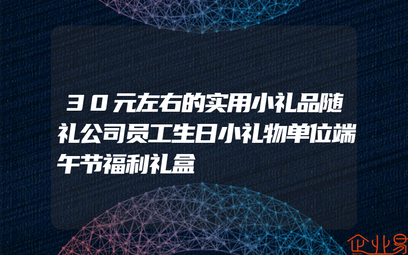 30元左右的实用小礼品随礼公司员工生日小礼物单位端午节福利礼盒