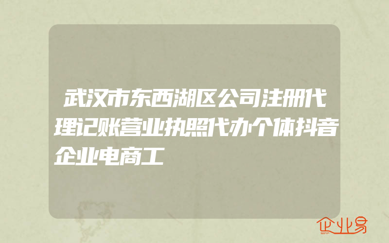 武汉市东西湖区公司注册代理记账营业执照代办个体抖音企业电商工