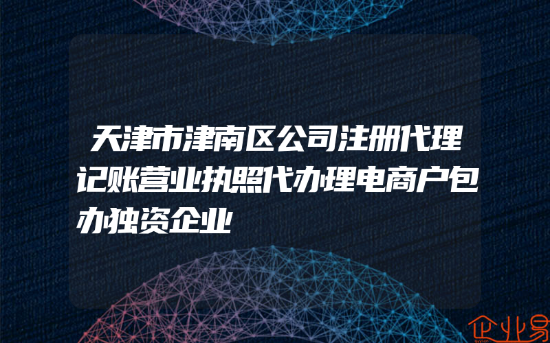 天津市津南区公司注册代理记账营业执照代办理电商户包办独资企业