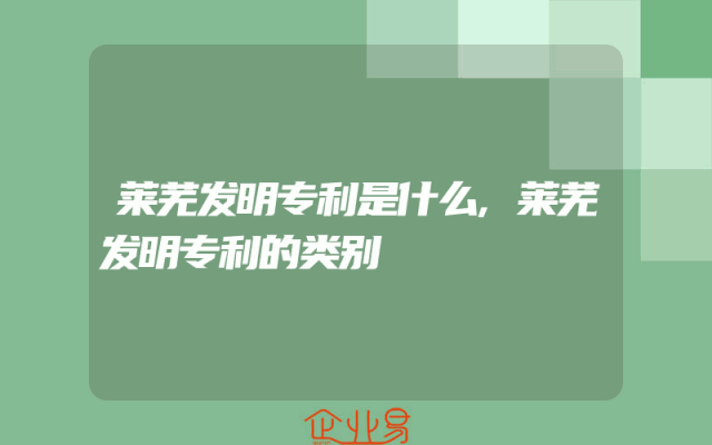 莱芜发明专利是什么,莱芜发明专利的类别