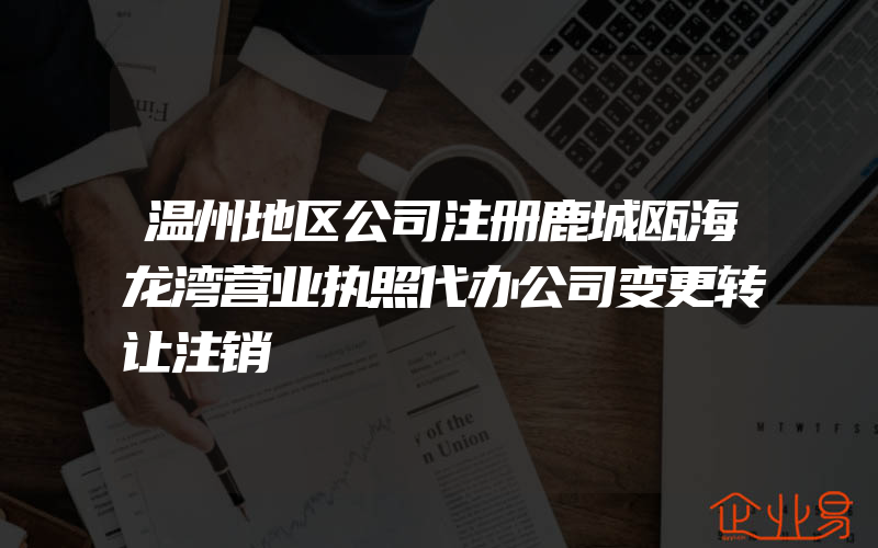 温州地区公司注册鹿城瓯海龙湾营业执照代办公司变更转让注销