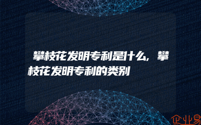 攀枝花发明专利是什么,攀枝花发明专利的类别