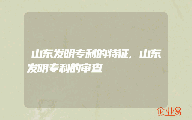 山东发明专利的特征,山东发明专利的审查