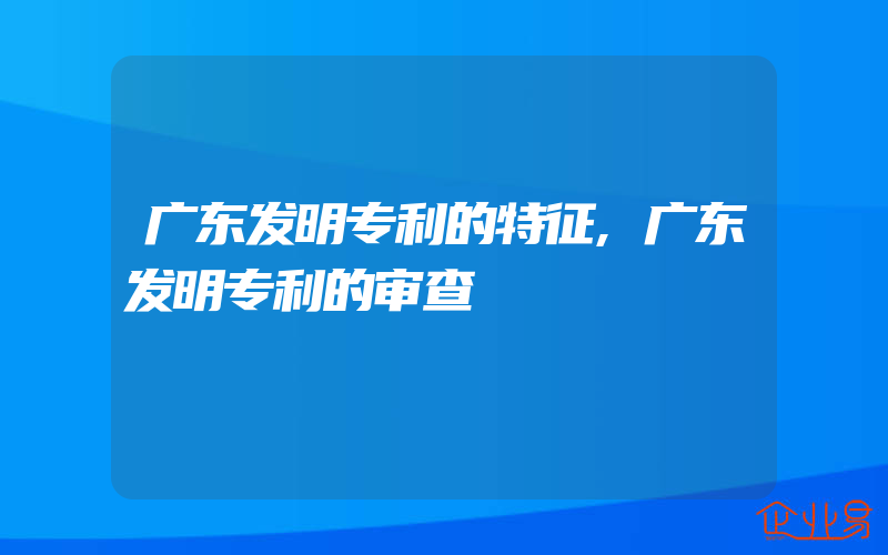 广东发明专利的特征,广东发明专利的审查