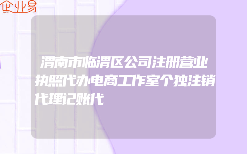 渭南市临渭区公司注册营业执照代办电商工作室个独注销代理记账代