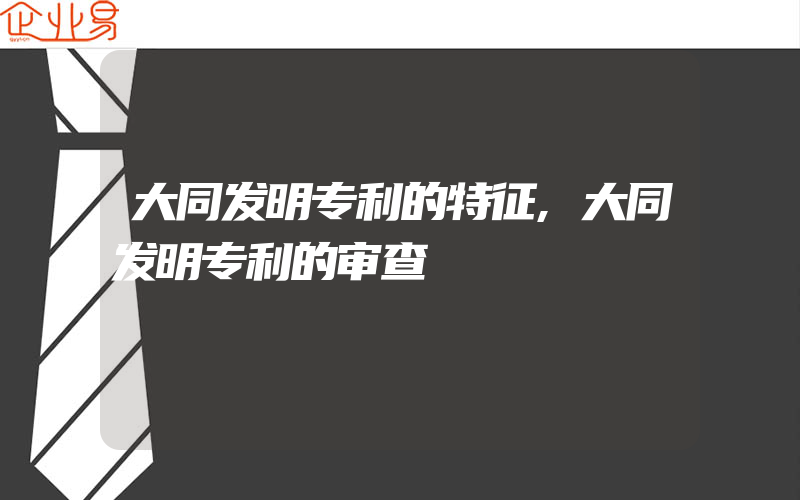 大同发明专利的特征,大同发明专利的审查