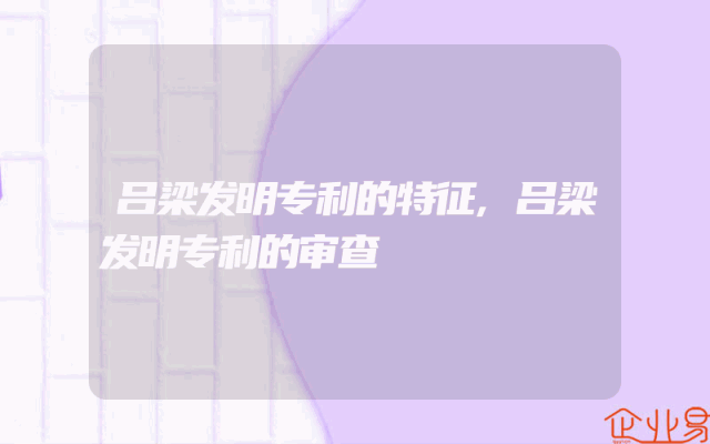 吕梁发明专利的特征,吕梁发明专利的审查