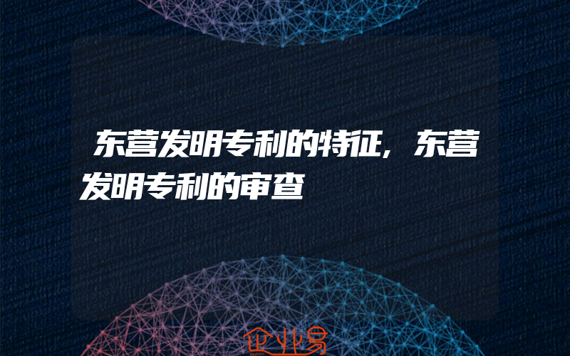 东营发明专利的特征,东营发明专利的审查