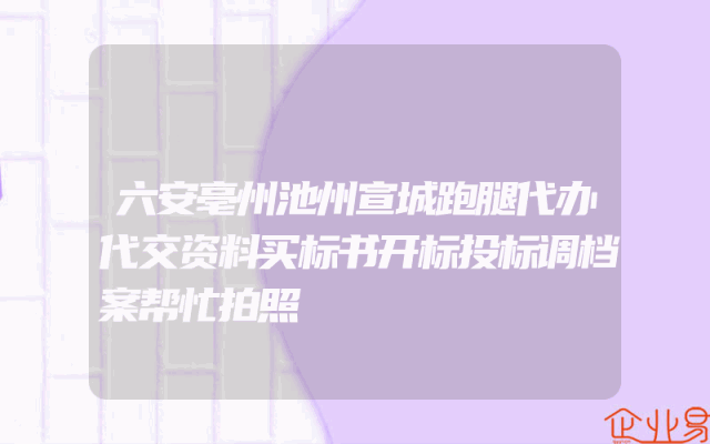 六安亳州池州宣城跑腿代办代交资料买标书开标投标调档案帮忙拍照