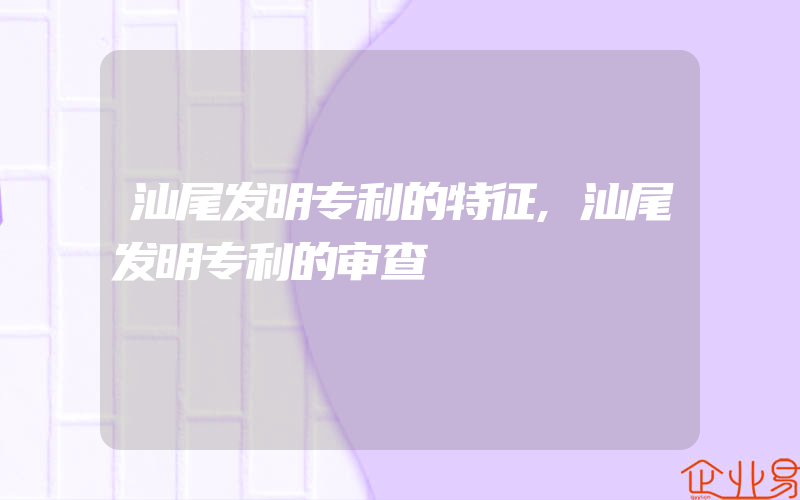 汕尾发明专利的特征,汕尾发明专利的审查