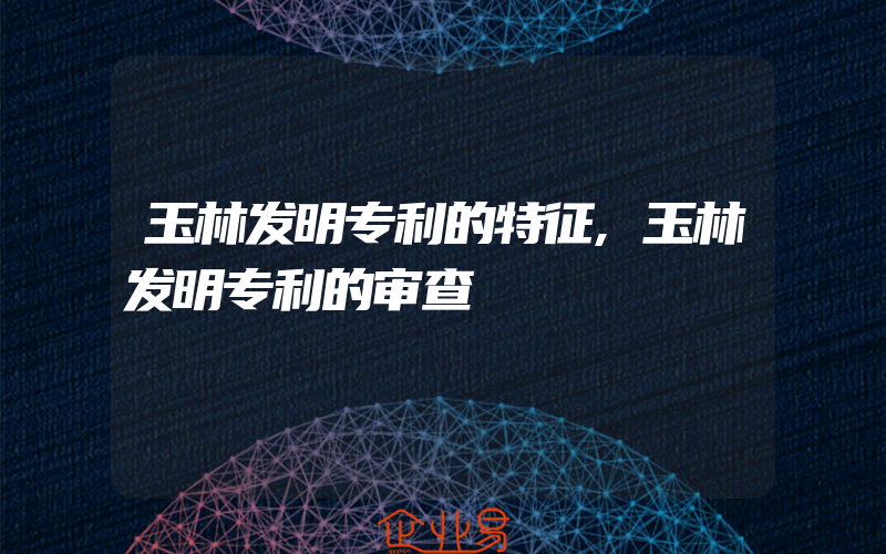 玉林发明专利的特征,玉林发明专利的审查