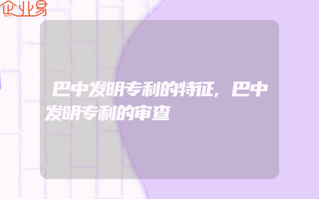 巴中发明专利的特征,巴中发明专利的审查