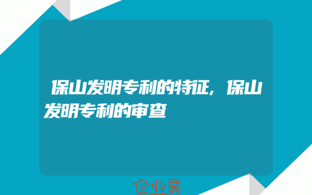 保山发明专利的特征,保山发明专利的审查